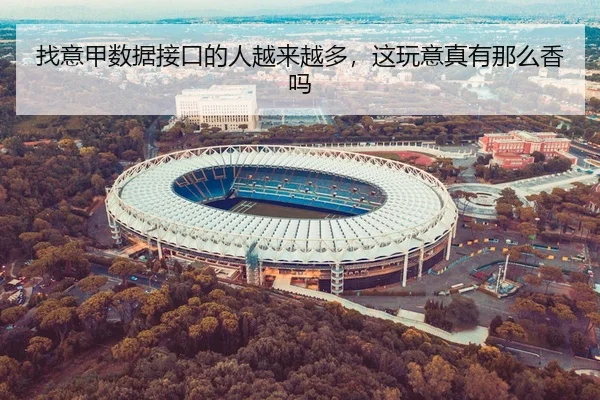 找意甲数据接口的人越来越多，这玩意真有那么香吗