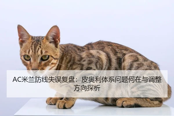AC米兰防线失误复盘：皮奥利体系问题何在与调整方向探析