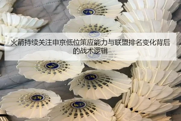 火箭持续关注申京低位策应能力与联盟排名变化背后的战术逻辑