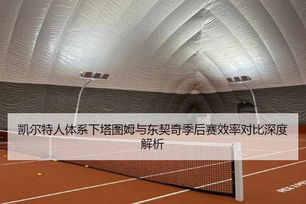 凯尔特人体系下塔图姆与东契奇季后赛效率对比深度解析